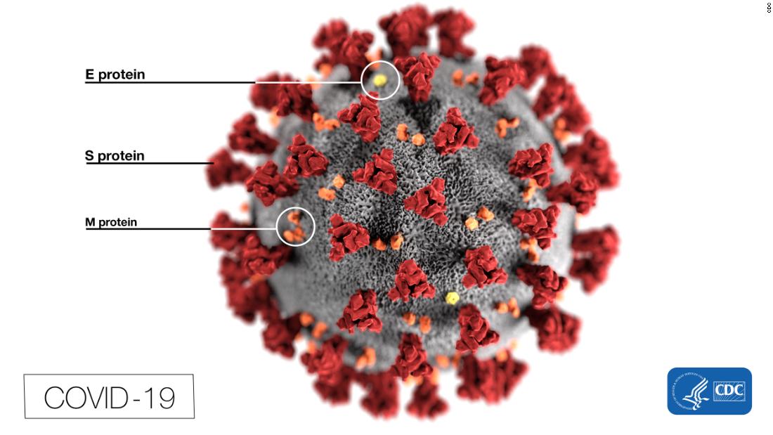 Mutation makes coronavirus more infectious, study suggests